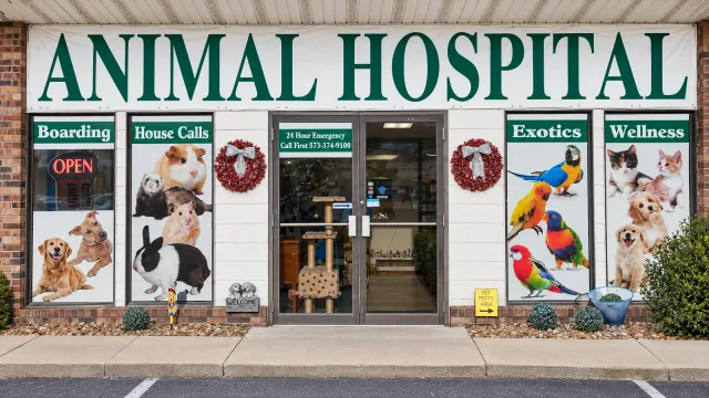 Animal Hospital storefront signage